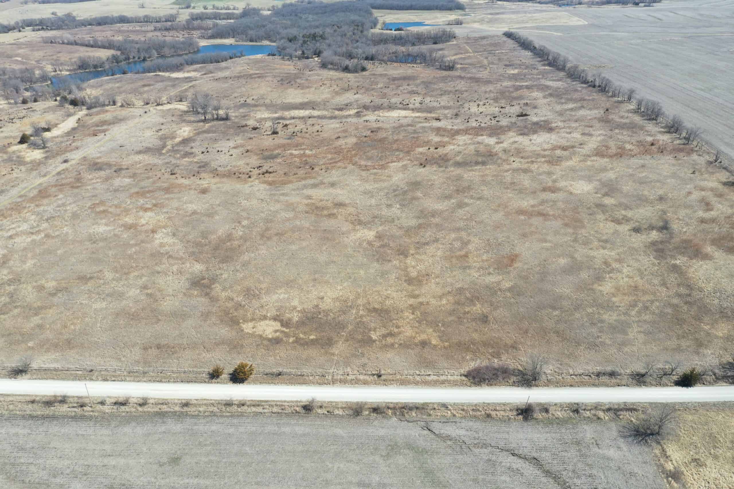 Farm Ground 40 Acres m/l near Eagleville, MO