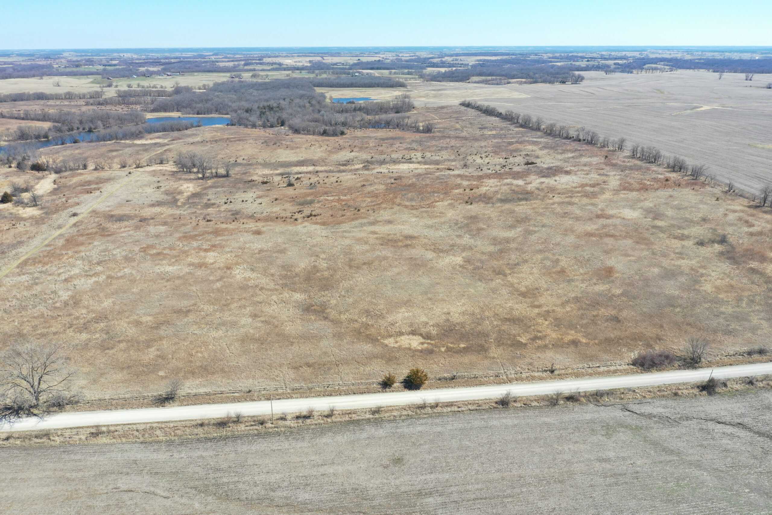 Farm Ground 40 Acres m/l near Eagleville, MO