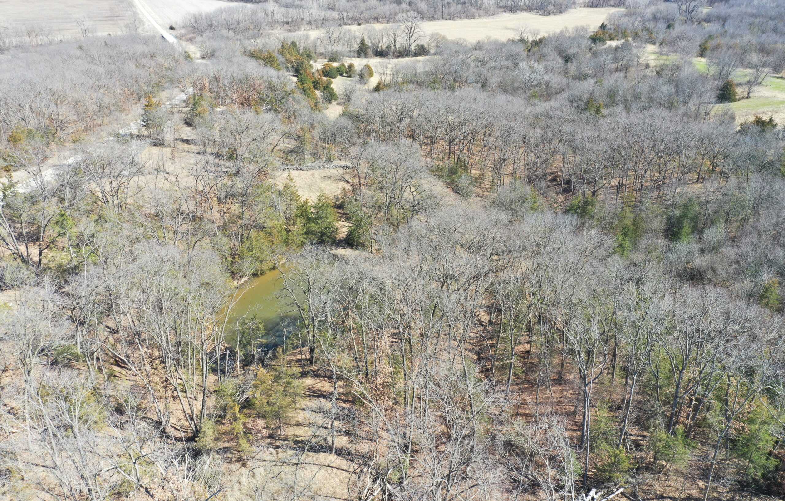 Building/Hunting Site for sale on 5 Acres m/l