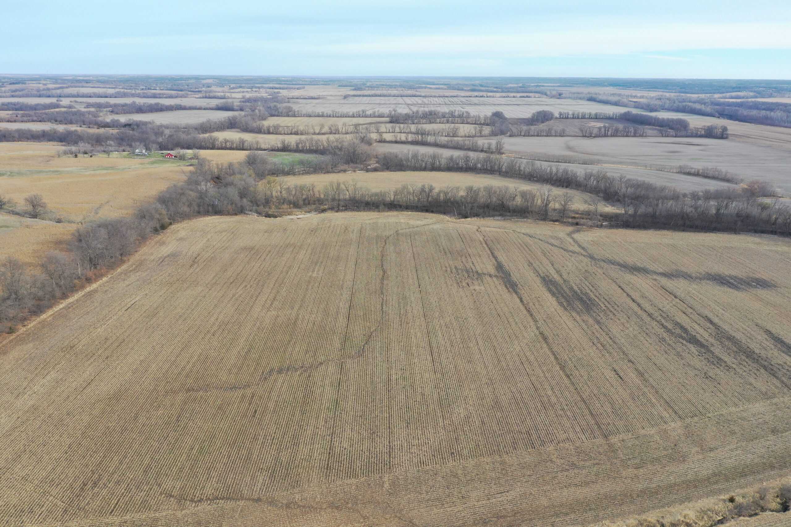 River Bottom Farm with 92 Acres m/l