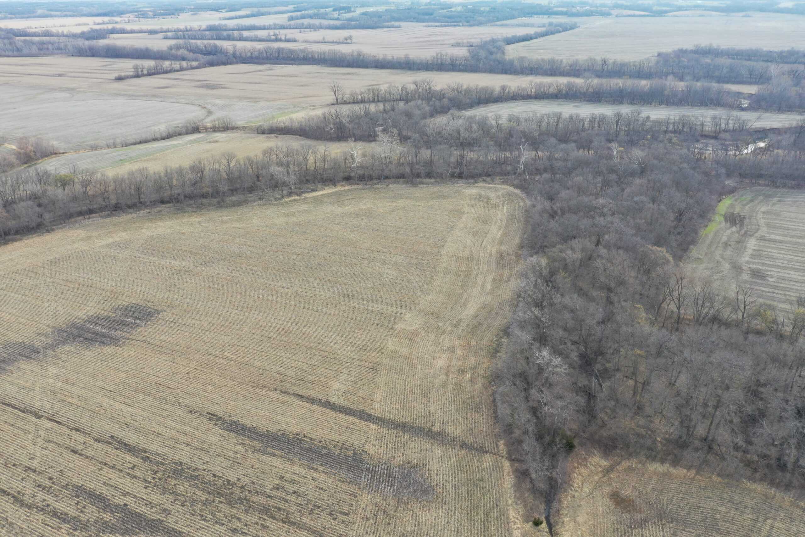 River Bottom Farm with 92 Acres m/l