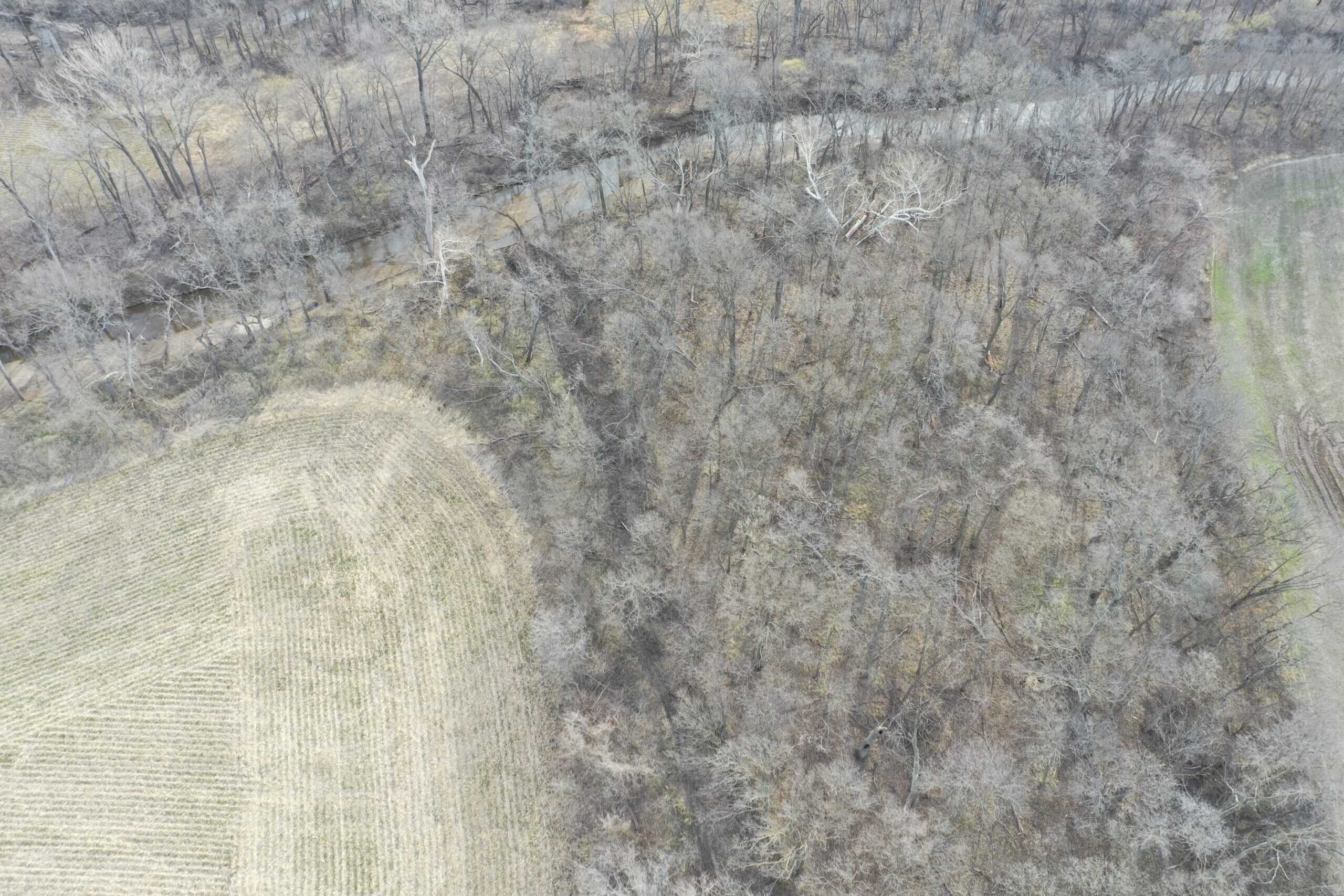 River Bottom Farm with 92 Acres m/l