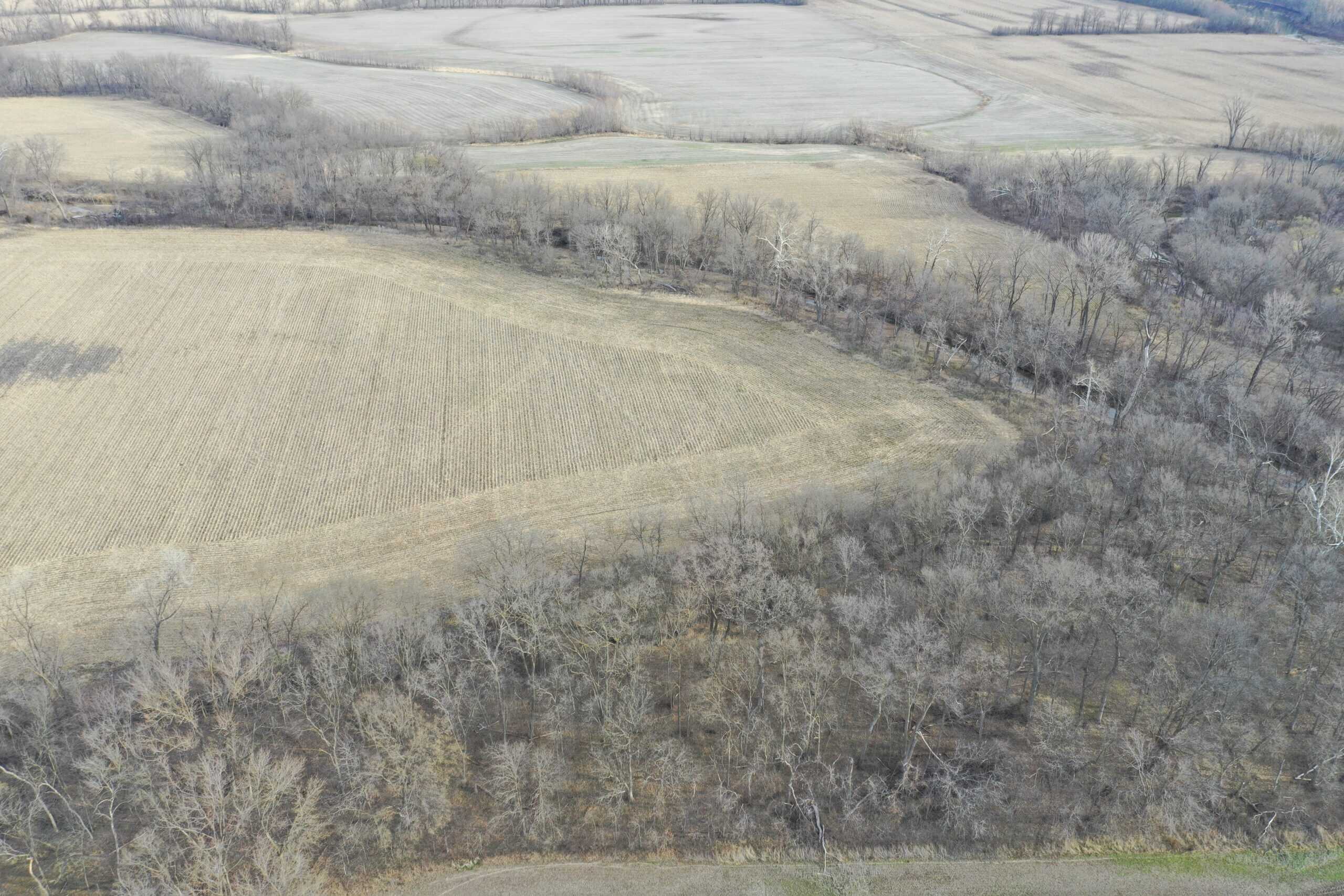 River Bottom Farm with 92 Acres m/l