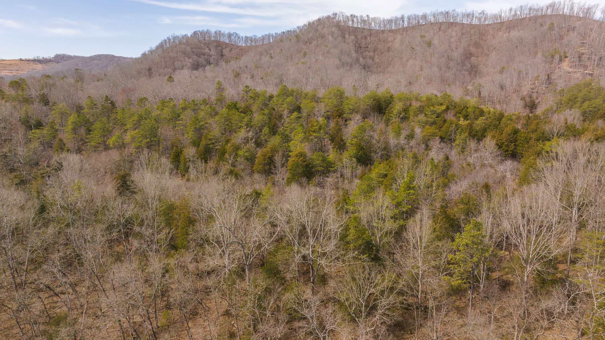 Secluded Riverfront Paradise in East Tennessee’s Wilderness Hancock Coun