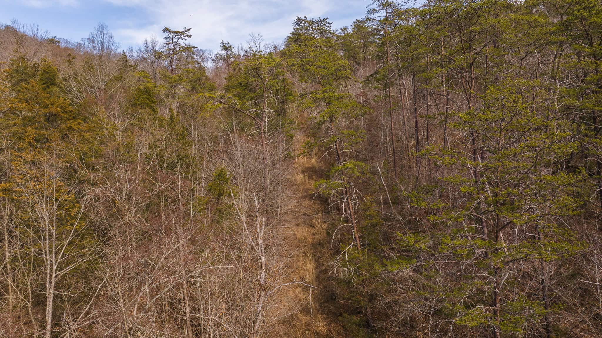 Secluded Riverfront Paradise in East Tennessee’s Wilderness Hancock Coun