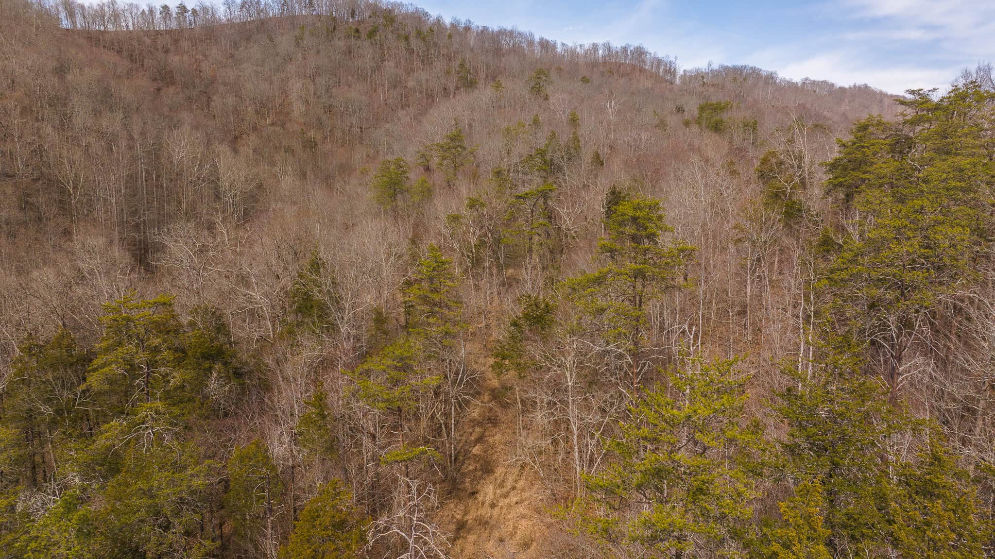 Secluded Riverfront Paradise in East Tennessee’s Wilderness Hancock Coun