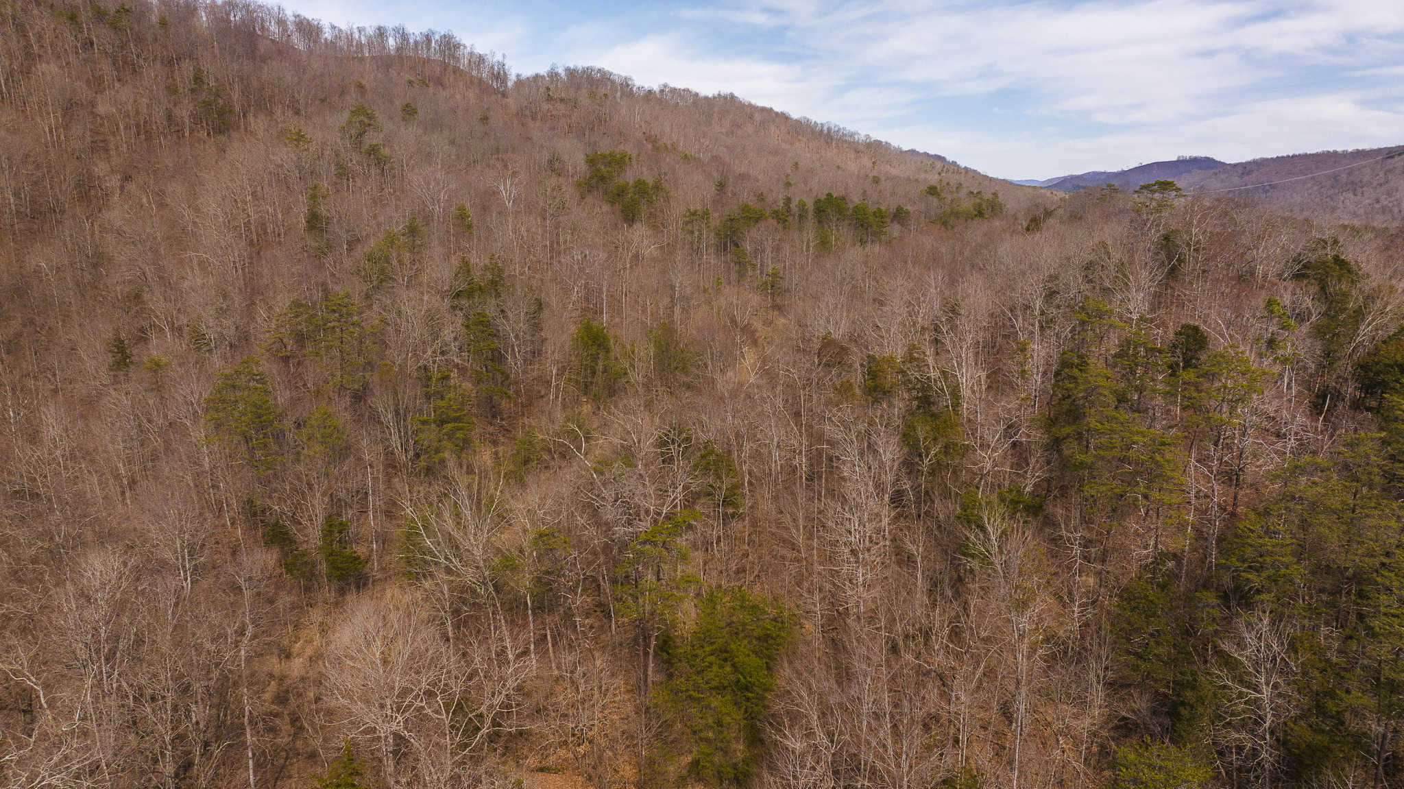 Secluded Riverfront Paradise in East Tennessee’s Wilderness Hancock Coun