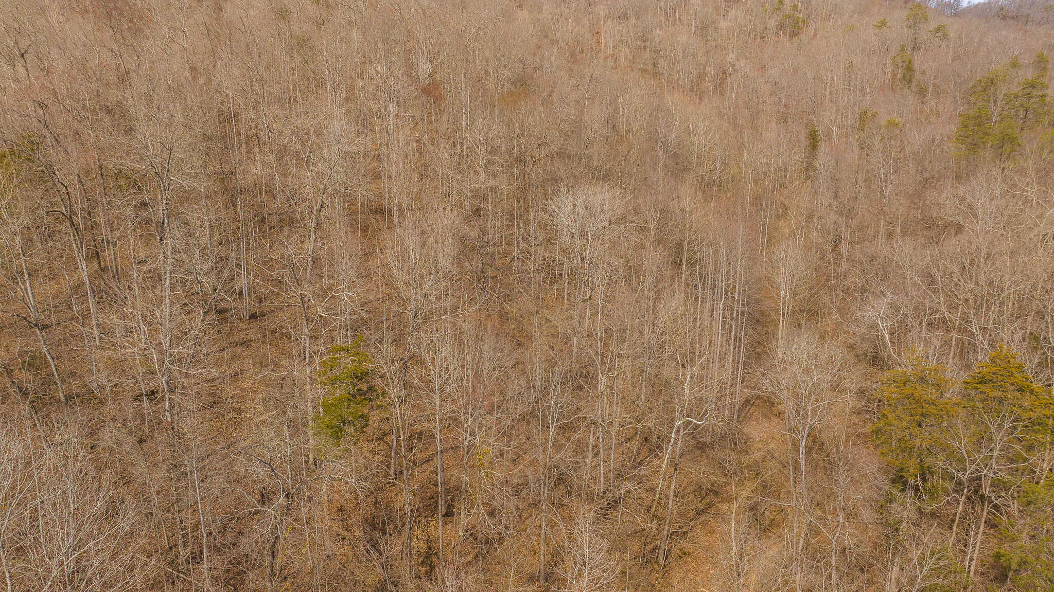 Secluded Riverfront Paradise in East Tennessee’s Wilderness Hancock Coun
