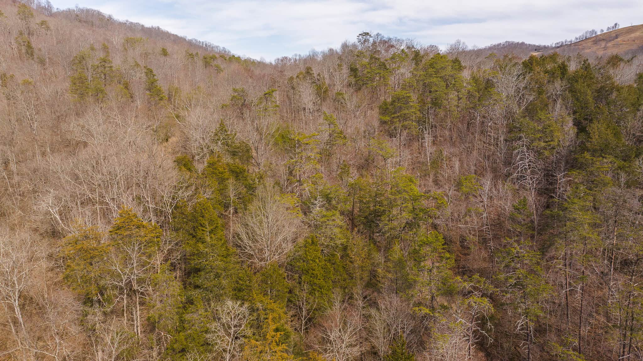 Secluded Riverfront Paradise in East Tennessee’s Wilderness Hancock Coun