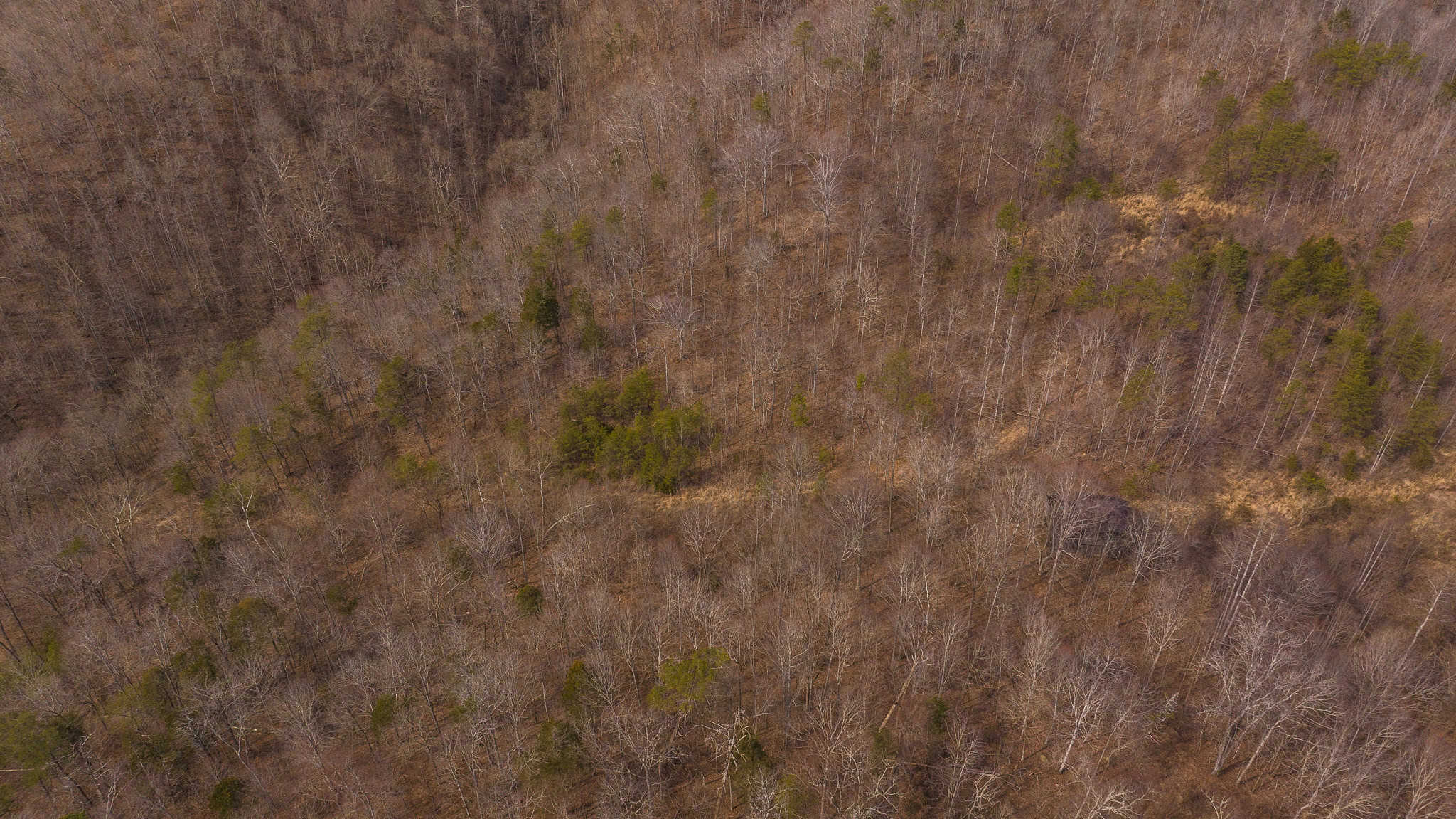 Secluded Riverfront Paradise in East Tennessee’s Wilderness Hancock Coun