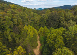 Secluded Riverfront Paradise in East Tennessee’s Wilderness Hancock County