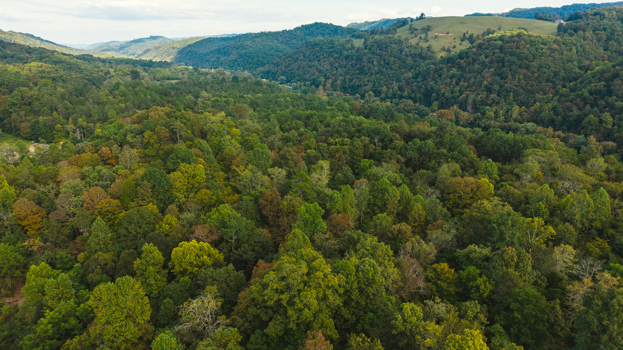 Secluded Riverfront Paradise in East Tennessee’s Wilderness Hancock County