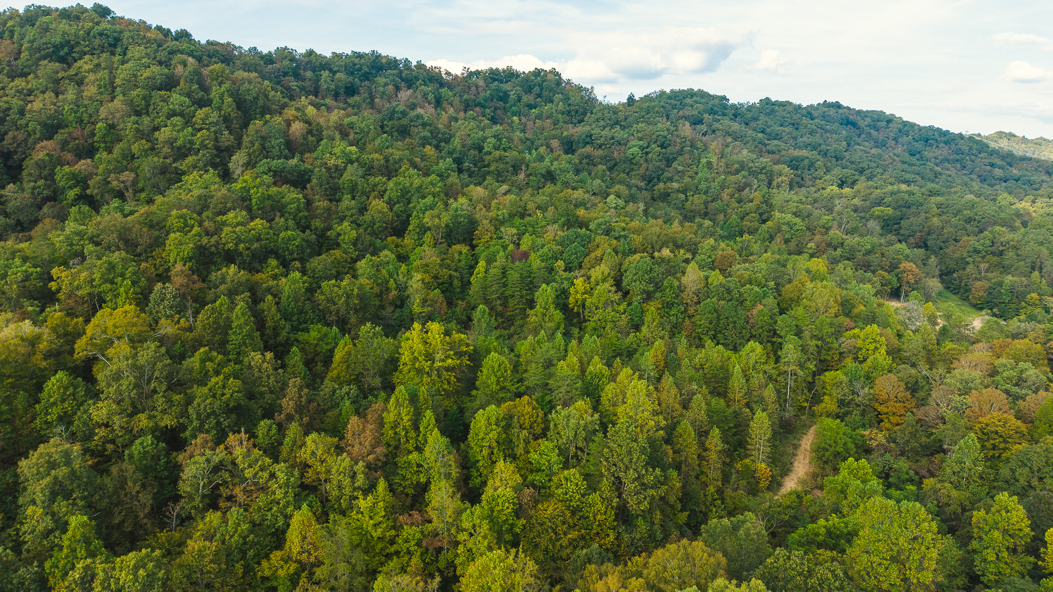 Secluded Riverfront Paradise in East Tennessee’s Wilderness Hancock County