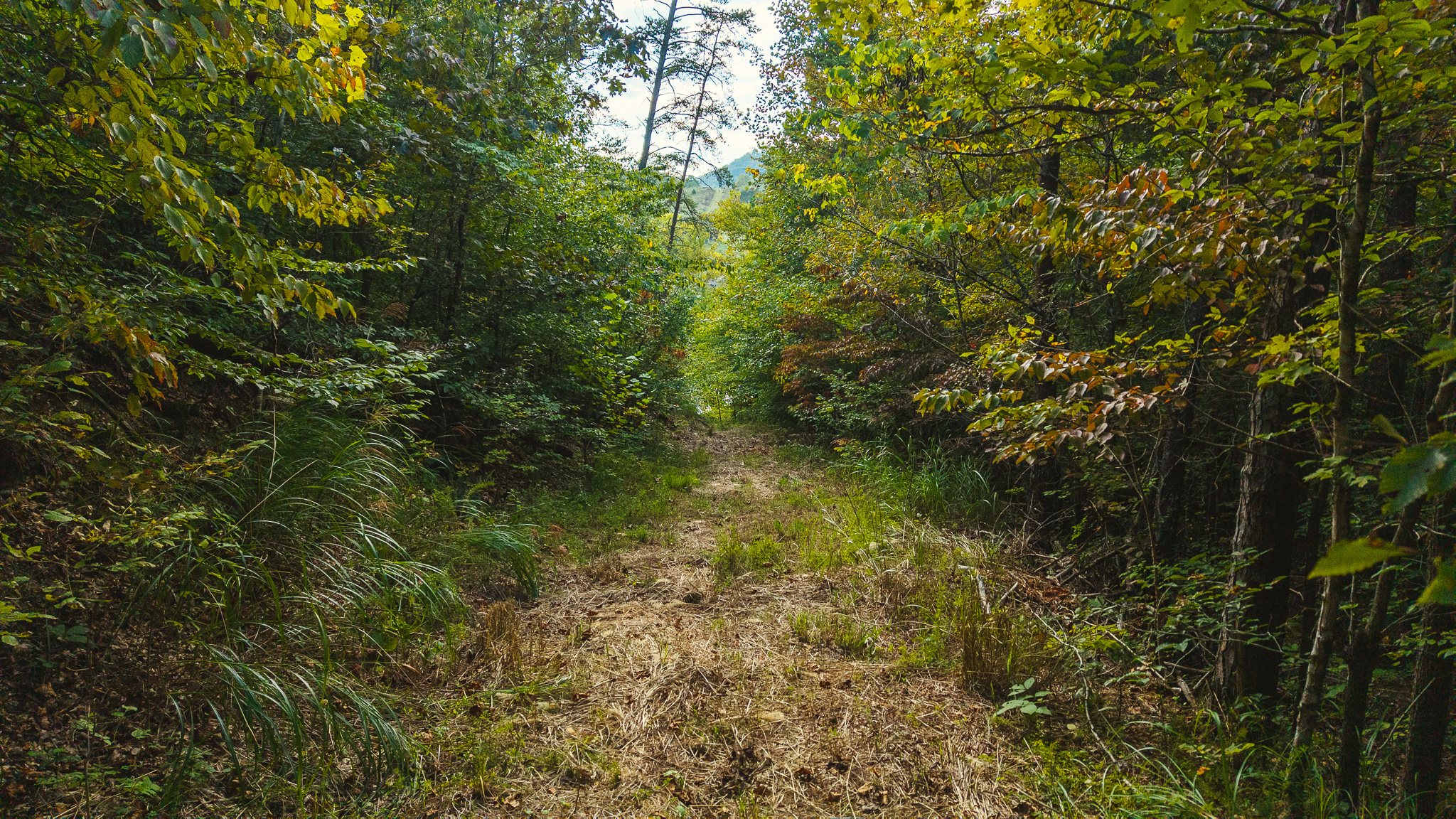 Secluded Riverfront Paradise in East Tennessee’s Wilderness Hancock County