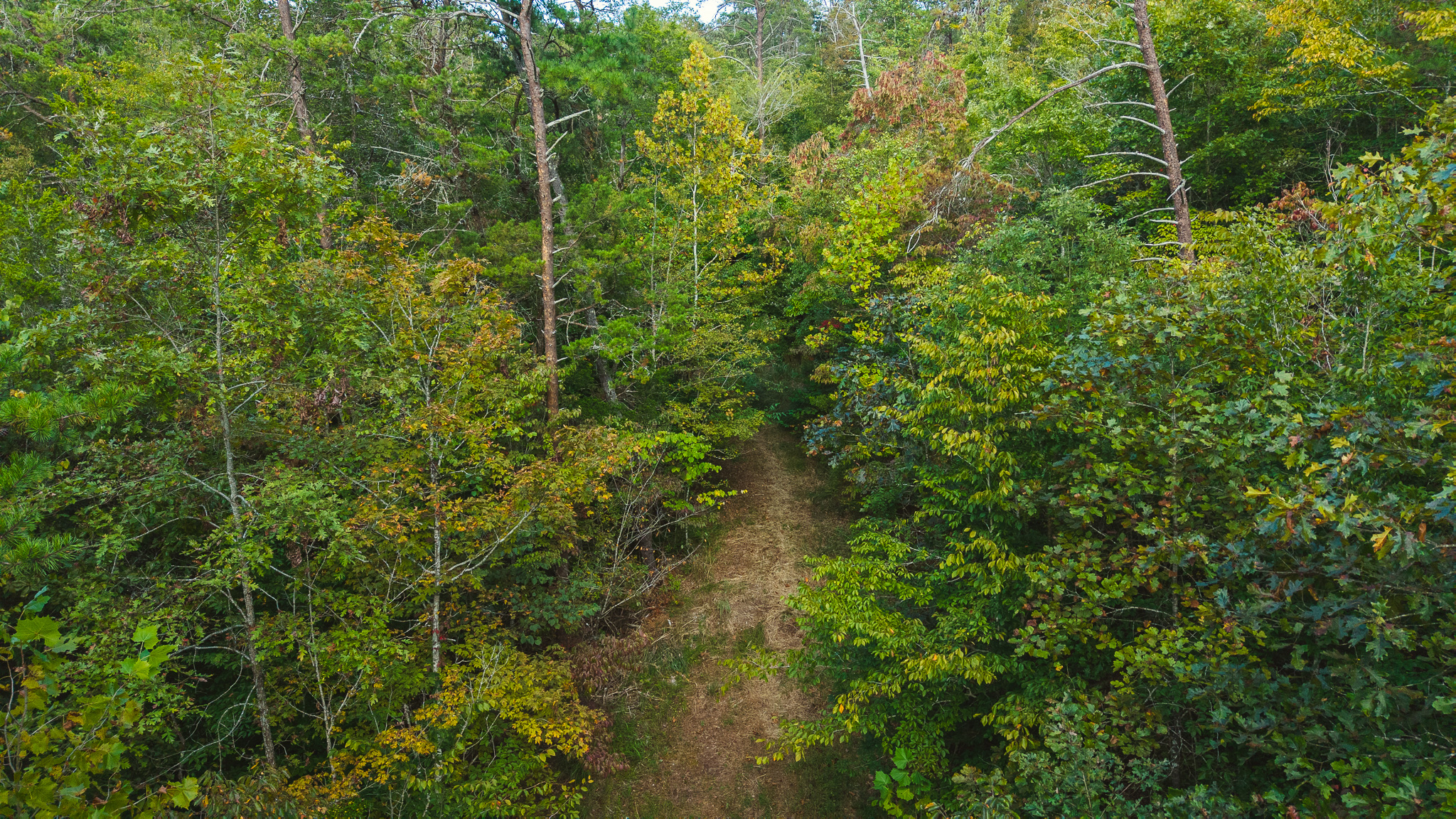 Secluded Riverfront Paradise in East Tennessee’s Wilderness Hancock County