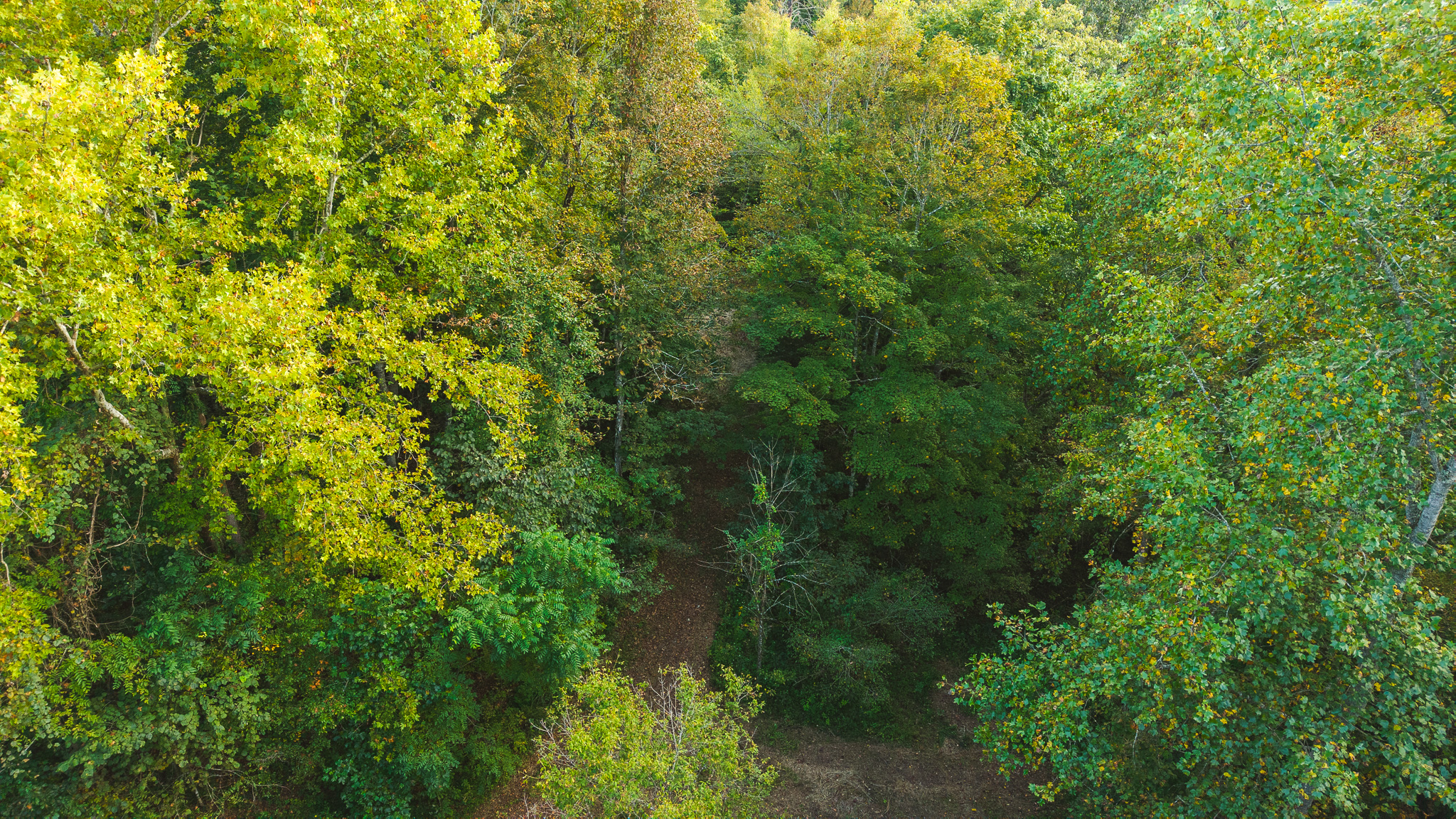Secluded Riverfront Paradise in East Tennessee’s Wilderness Hancock County