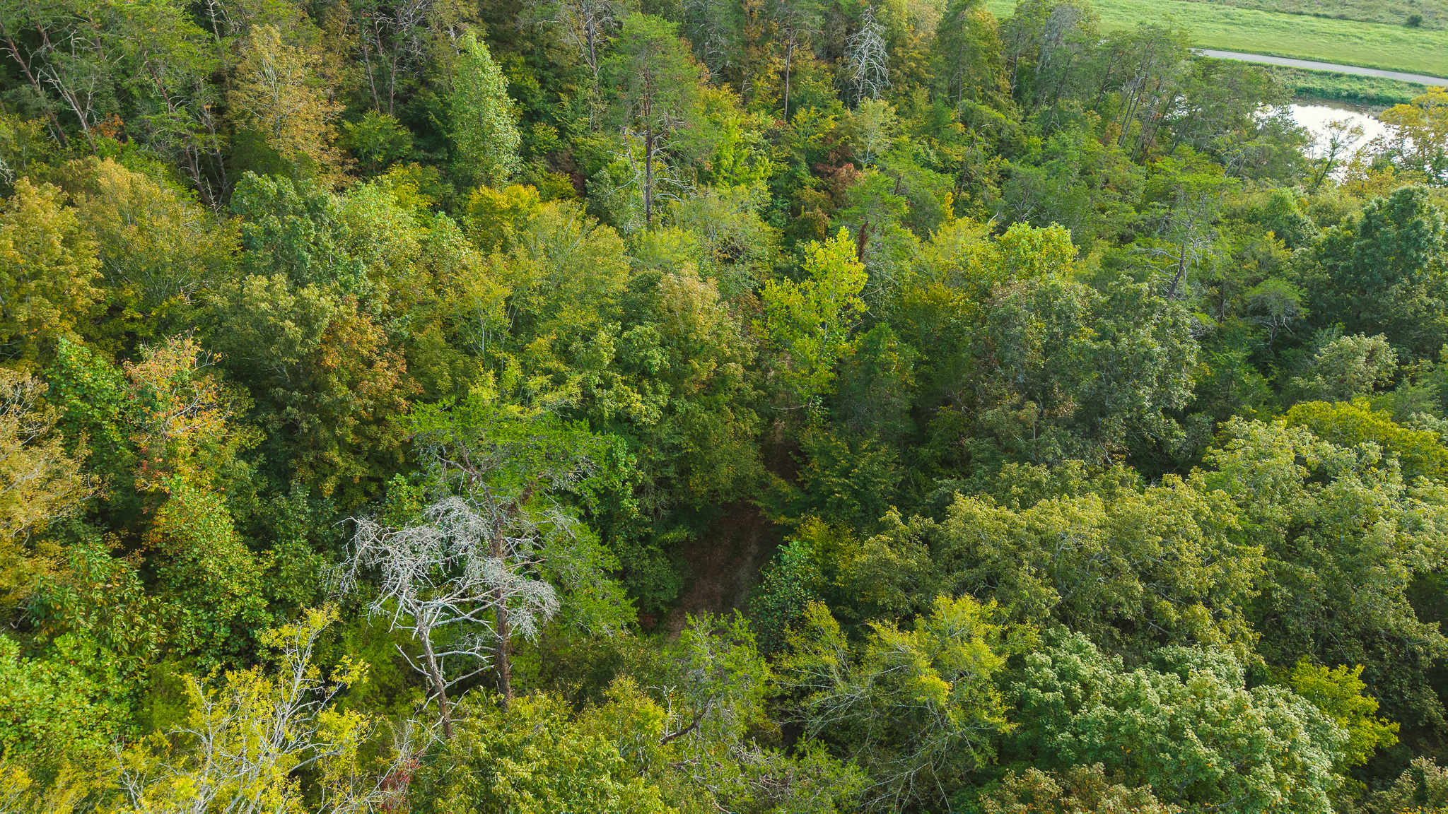 Secluded Riverfront Paradise in East Tennessee’s Wilderness Hancock County