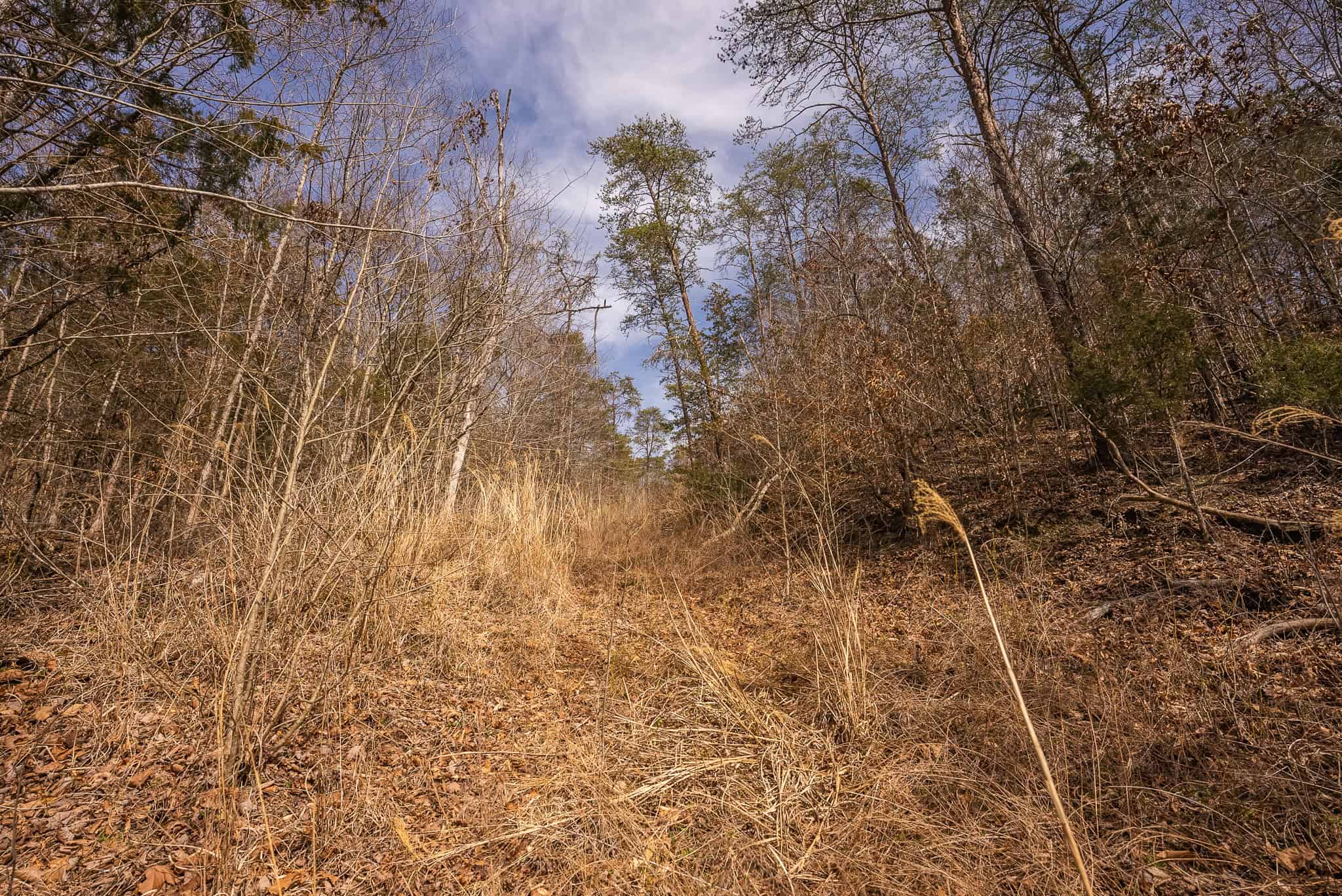 Secluded Riverfront Paradise in East Tennessee’s Wilderness Hancock Coun