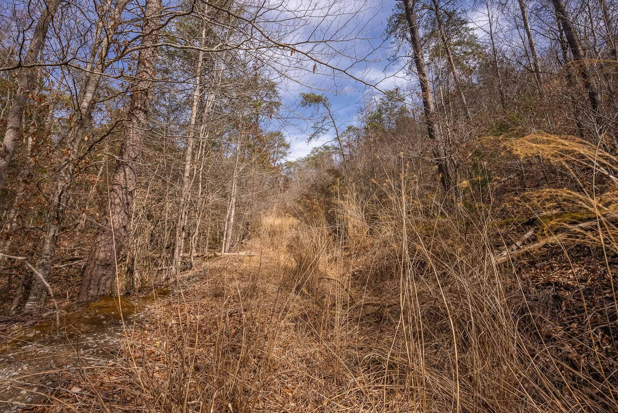 Secluded Riverfront Paradise in East Tennessee’s Wilderness Hancock Coun