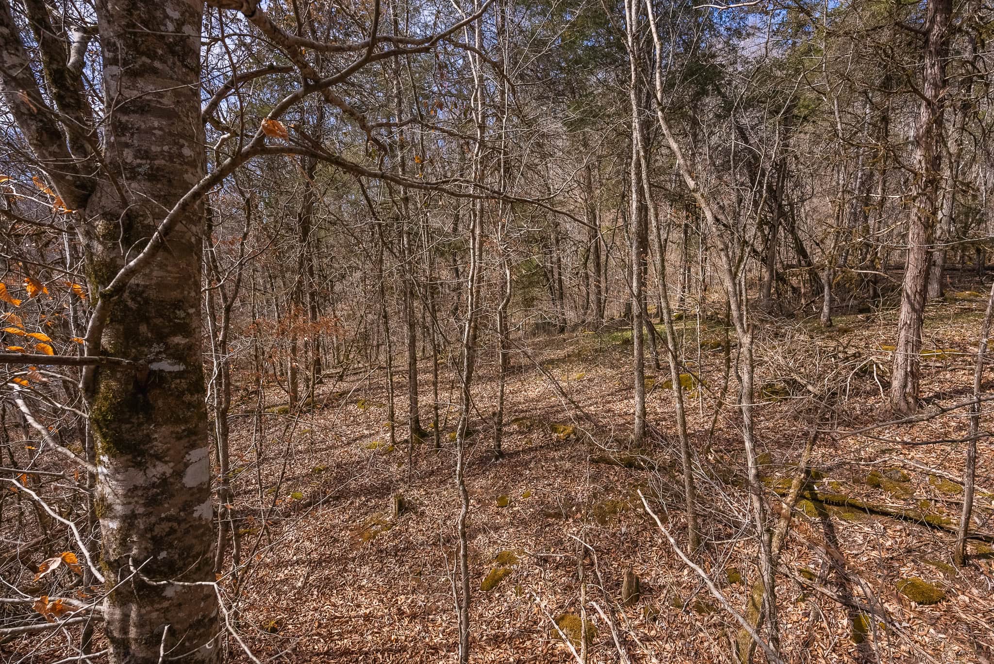Secluded Riverfront Paradise in East Tennessee’s Wilderness Hancock Coun