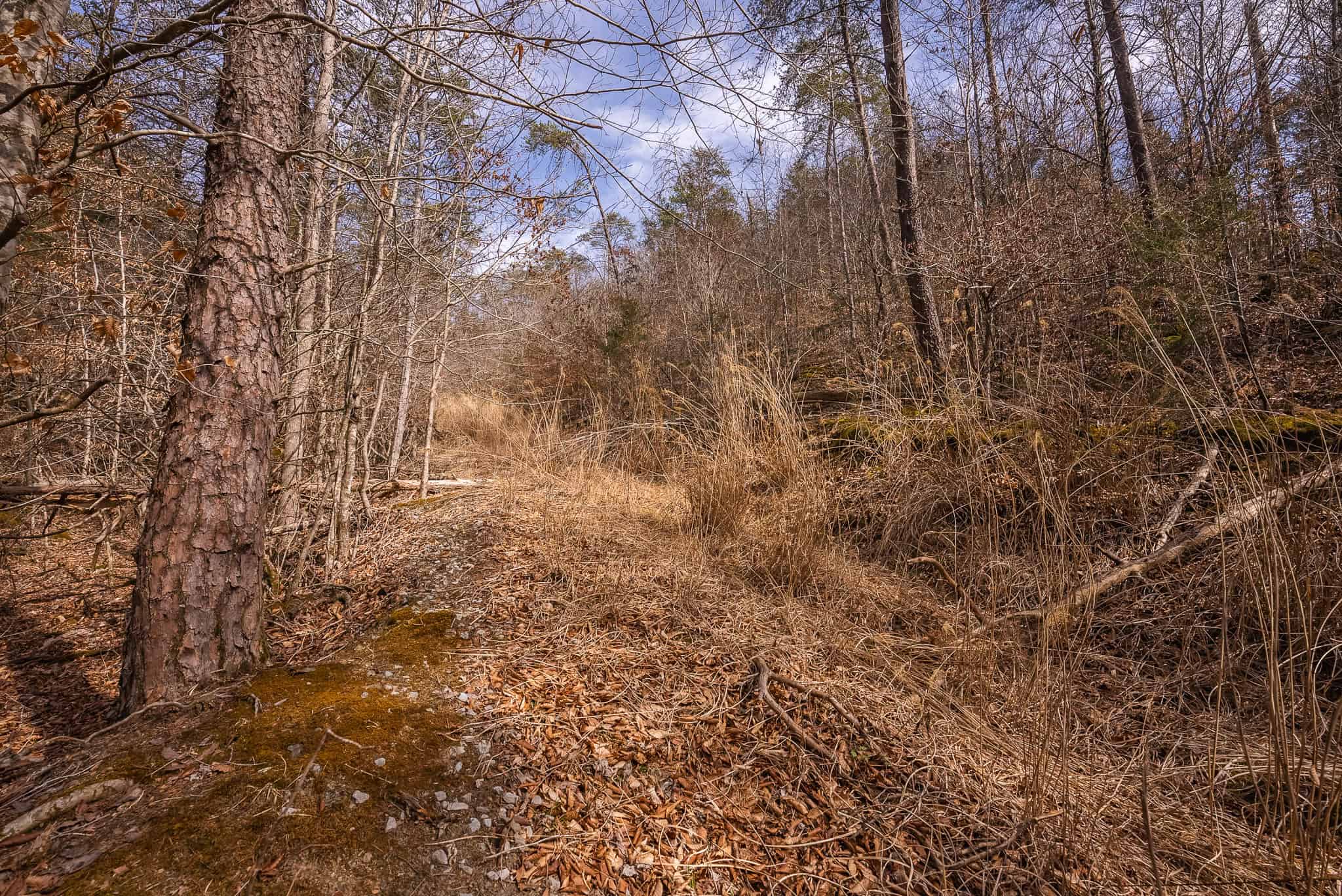 Secluded Riverfront Paradise in East Tennessee’s Wilderness Hancock Coun