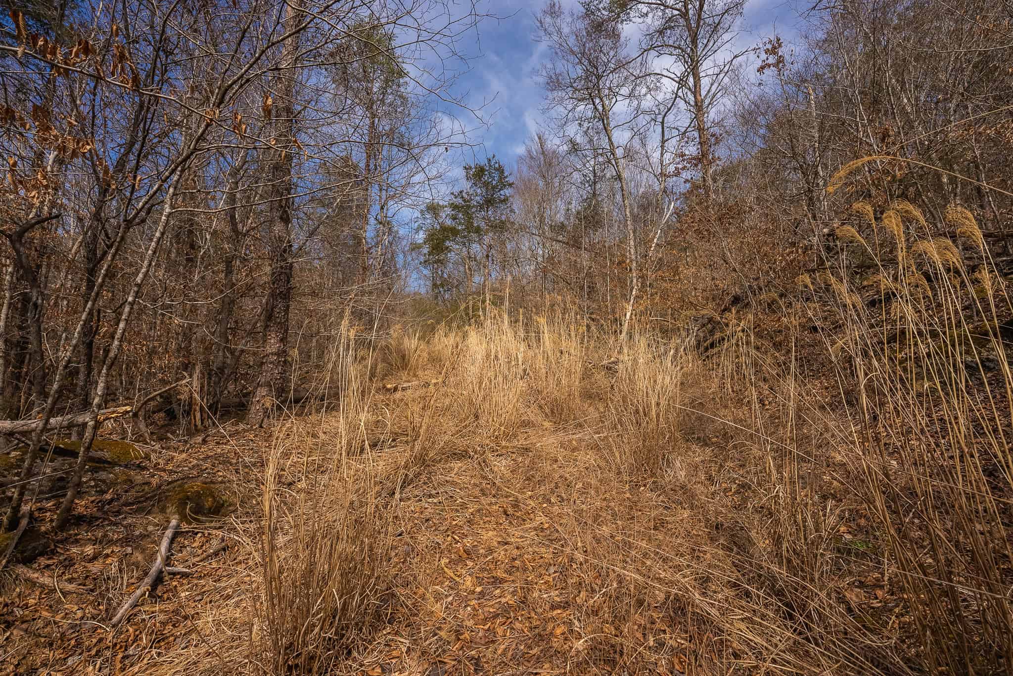 Secluded Riverfront Paradise in East Tennessee’s Wilderness Hancock Coun