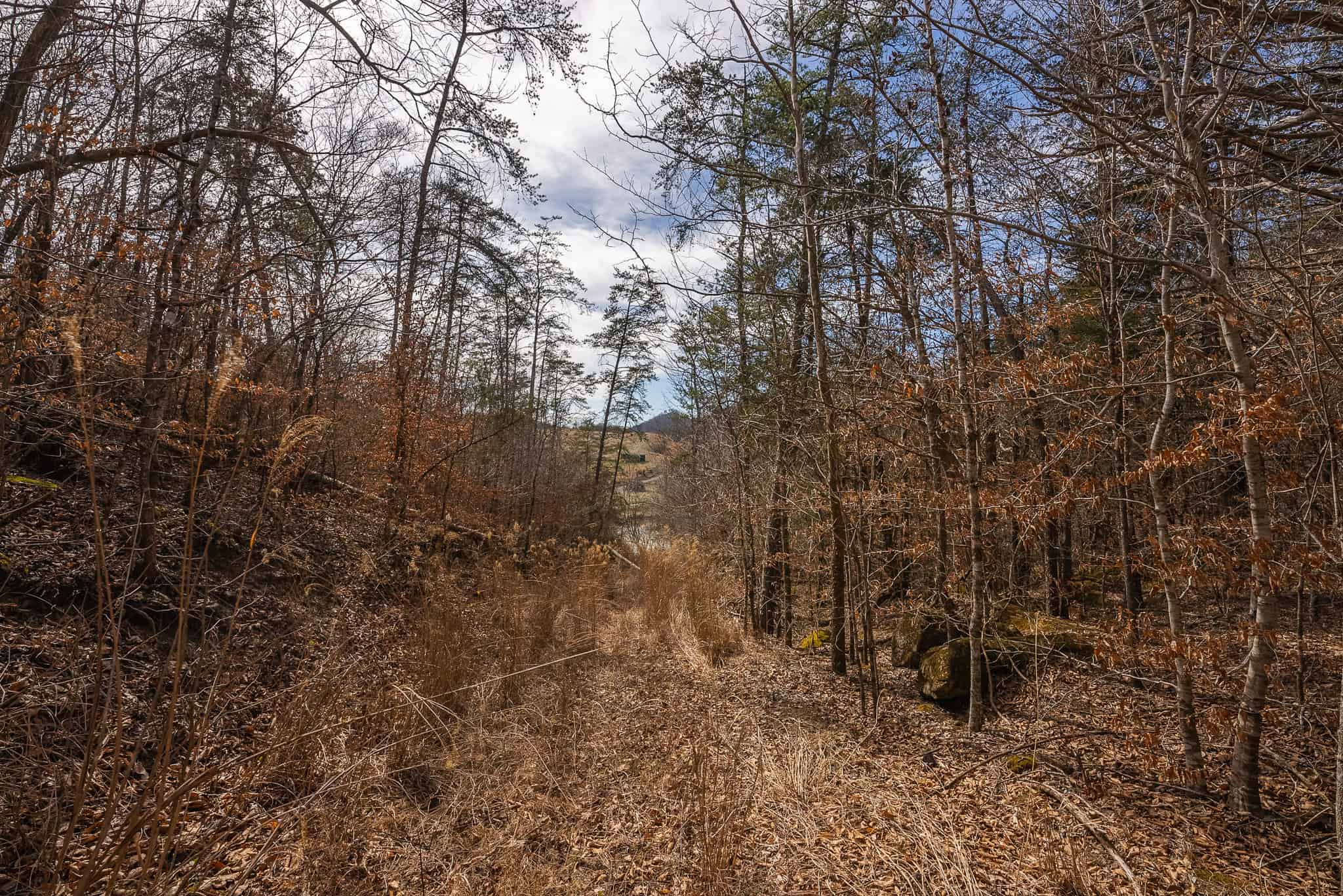 Secluded Riverfront Paradise in East Tennessee’s Wilderness Hancock Coun