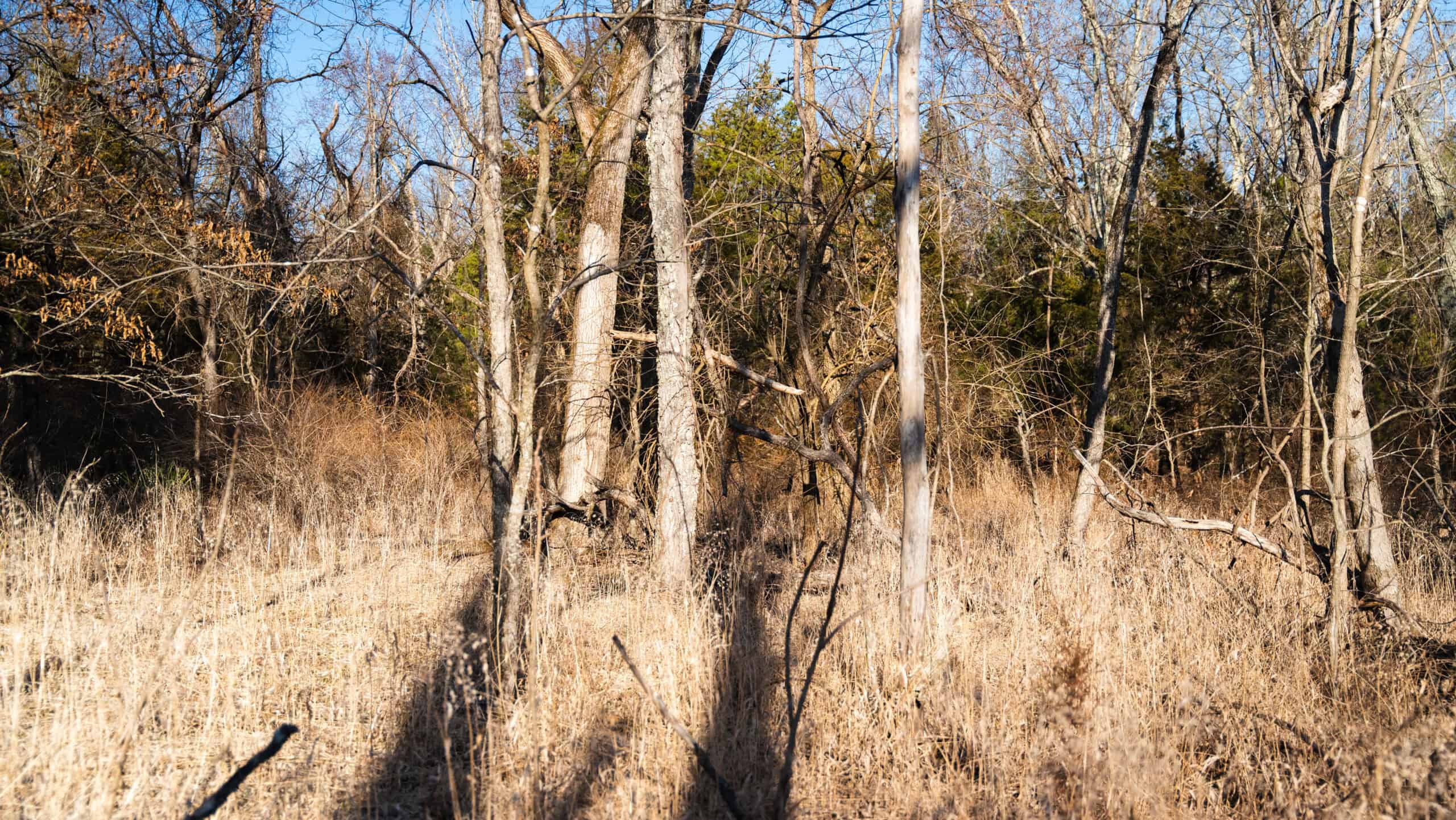 Multi-Property Hunting Estate for Sale in Washington County, MO