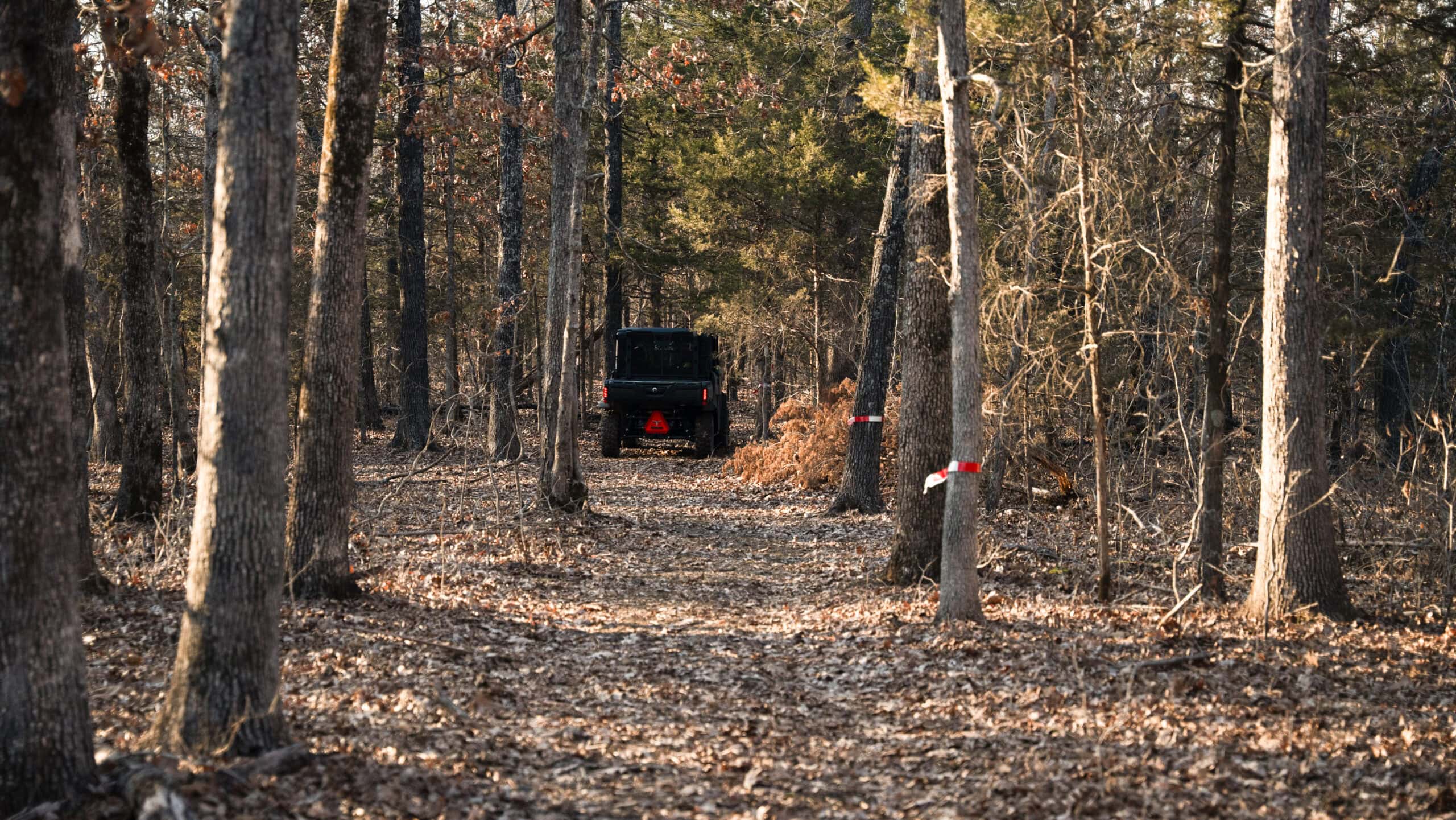 Multi-Property Hunting Estate for Sale in Washington County, MO