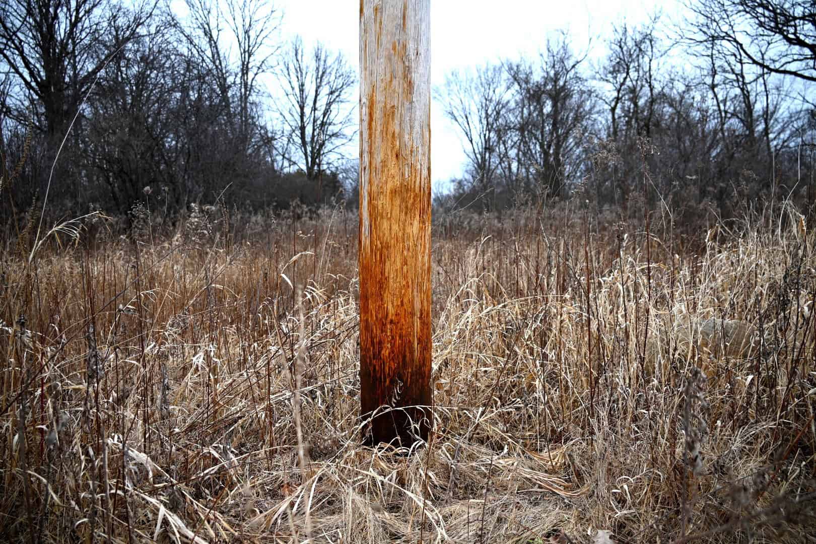 Hunting land in Michigan