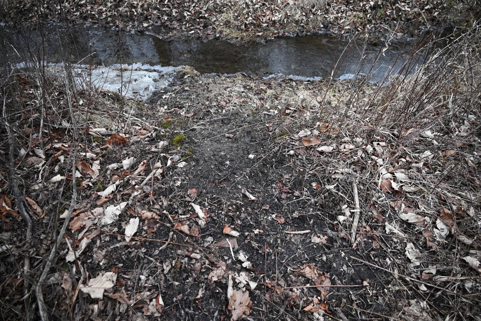 Hunting land in Michigan