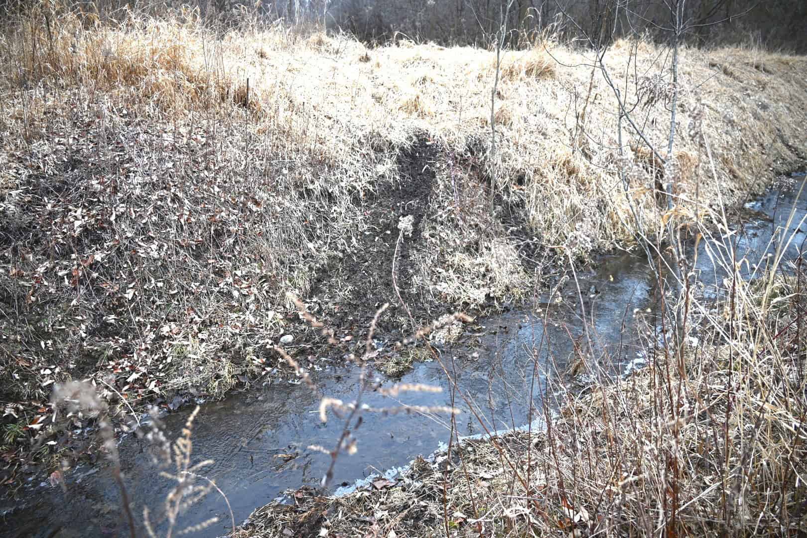 Hunting land in Michigan