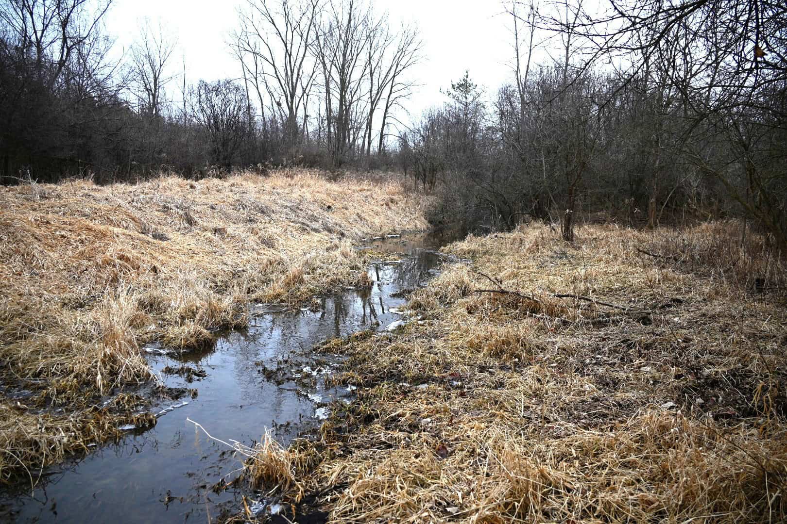 Hunting land in Michigan