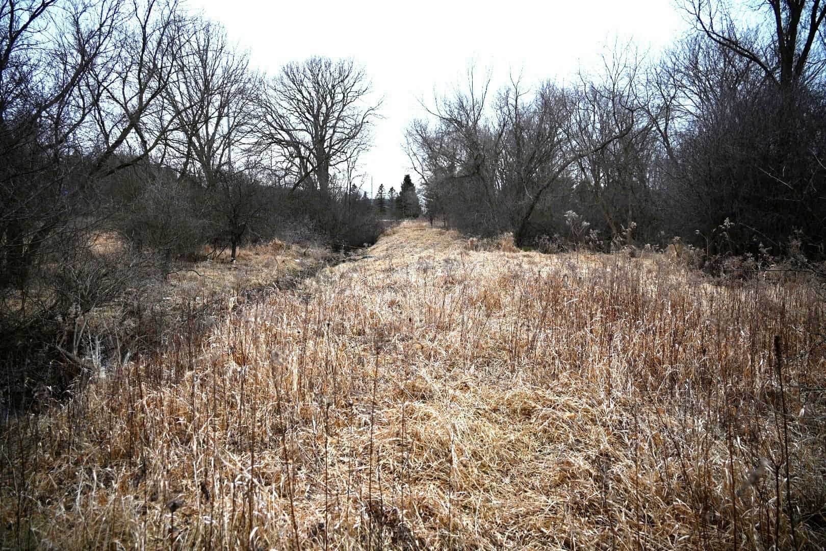 Hunting land in Michigan