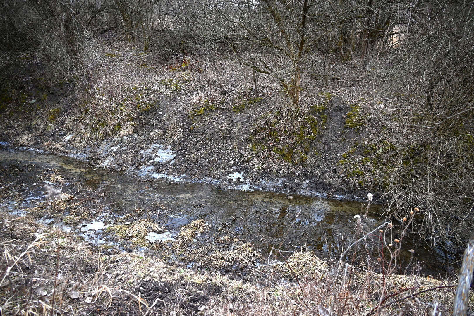 Hunting land in Michigan