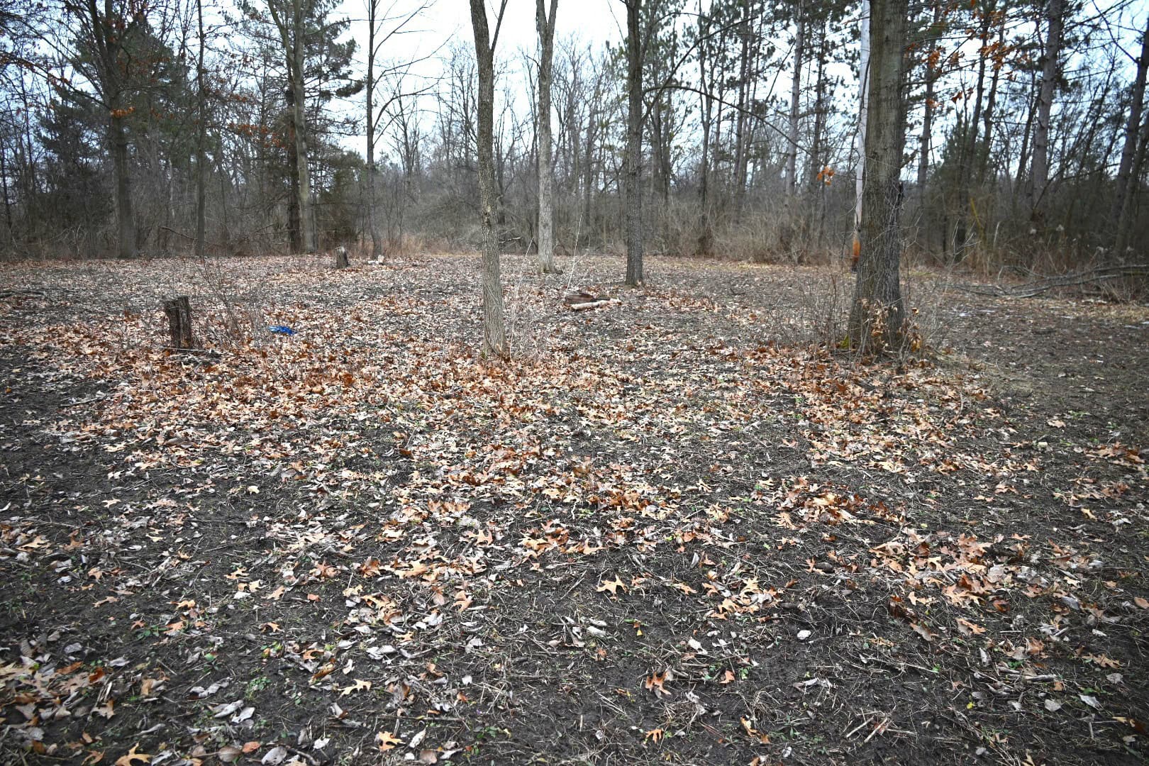 Hunting land in Michigan