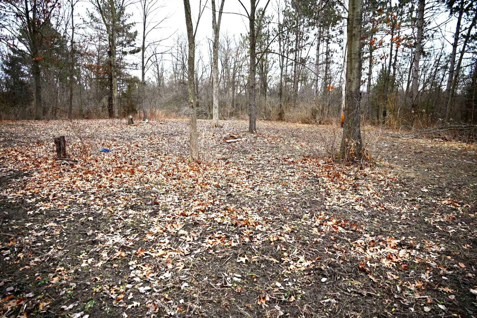 Hunting land in Michigan