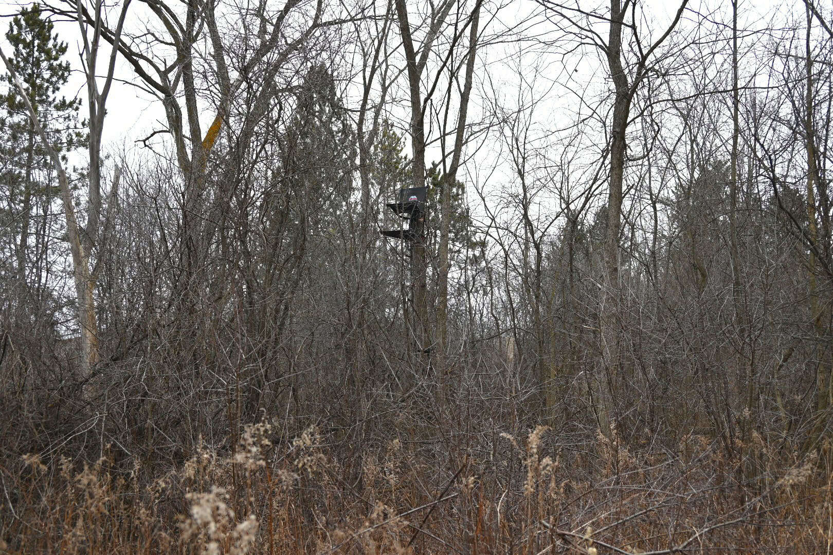 Hunting land in Michigan