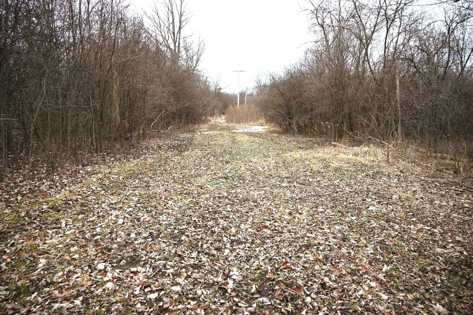 Hunting land in Michigan