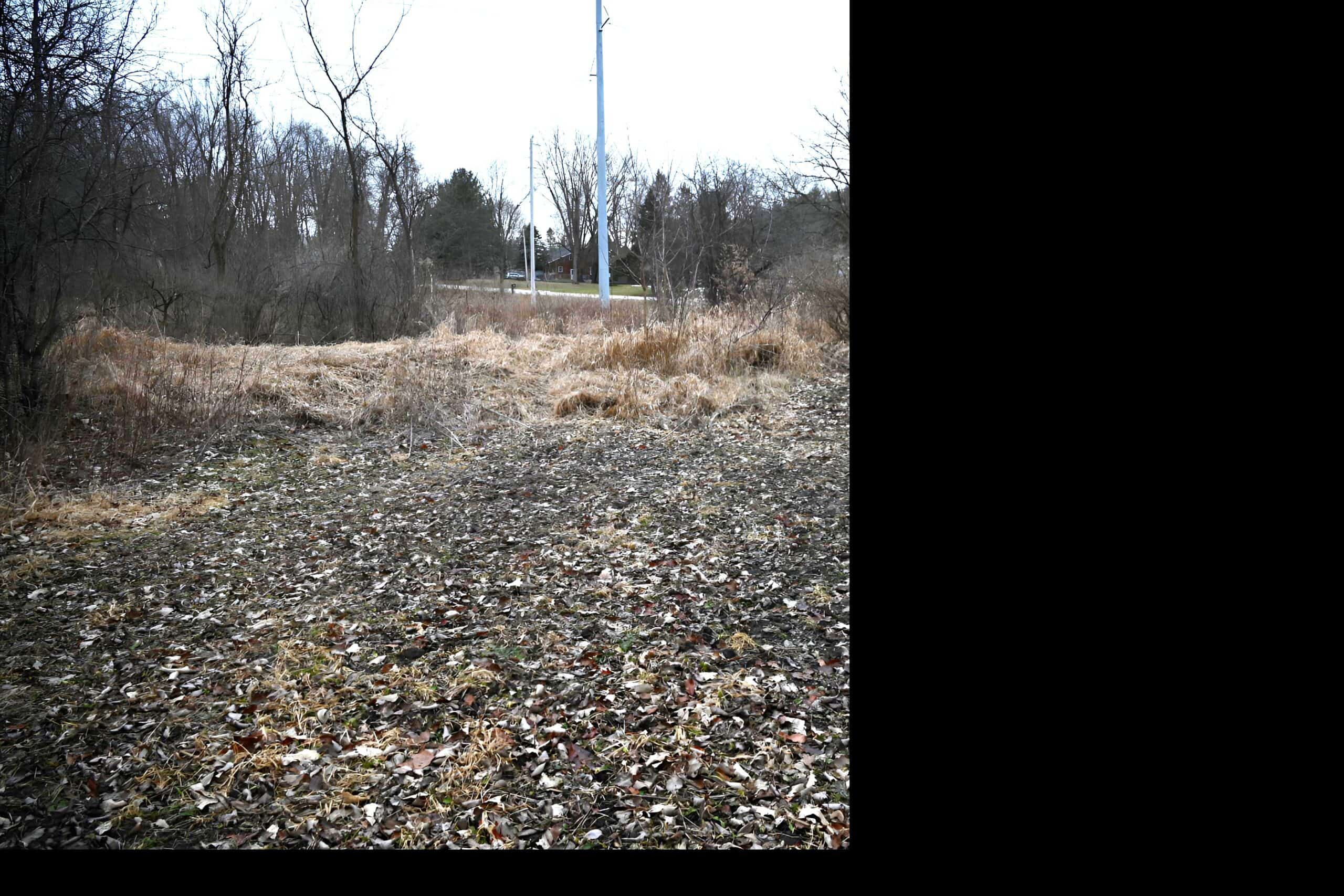 Hunting land in Michigan