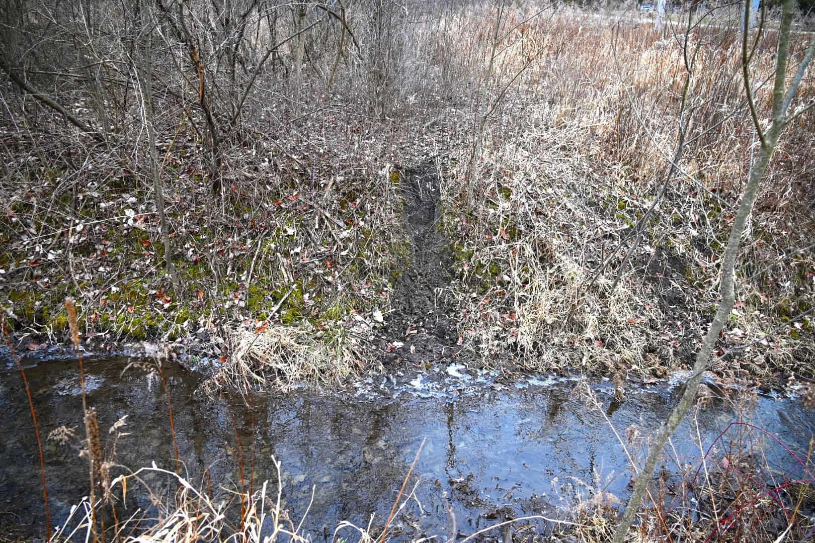 Hunting land in Michigan