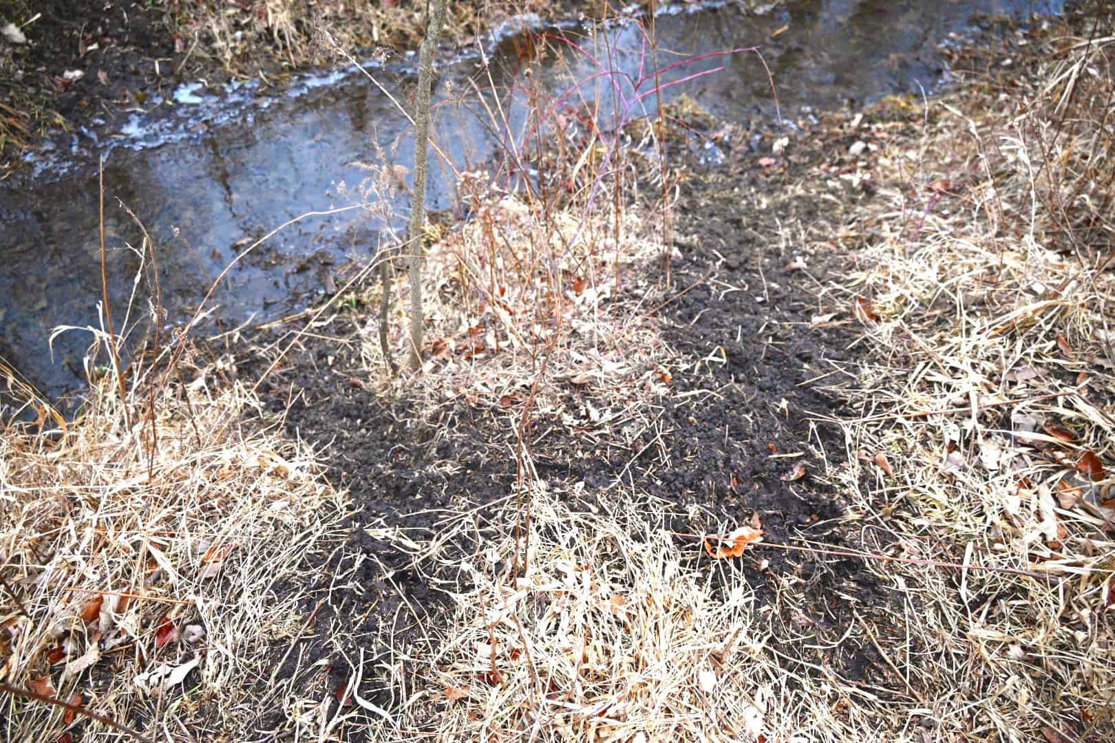 Hunting land in Michigan