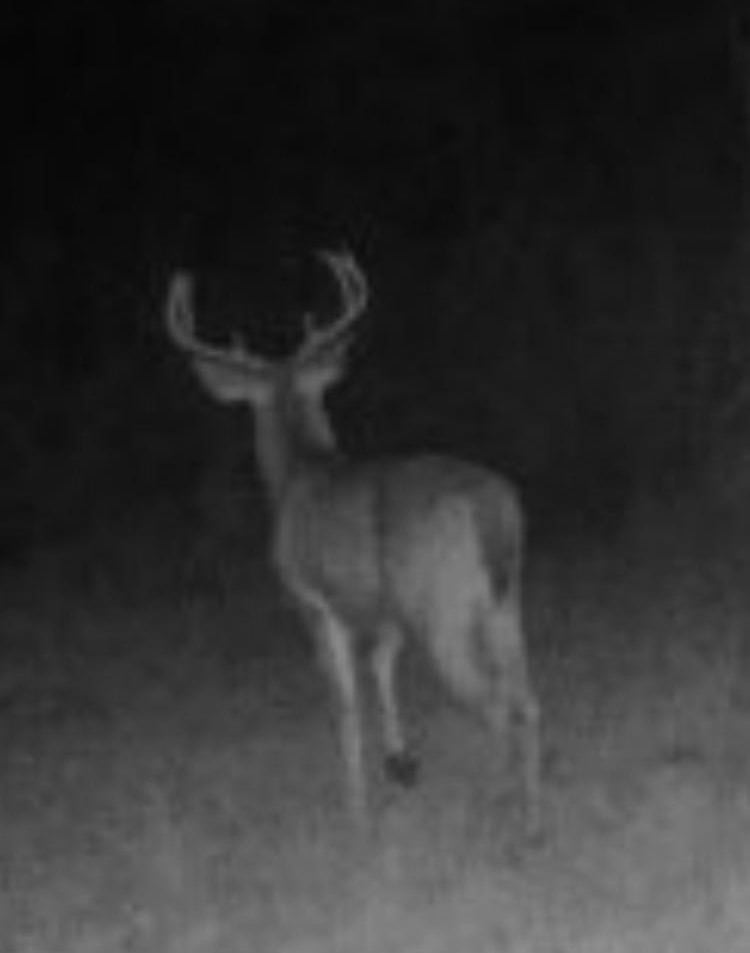 Hunting Property in Winn Parish LA For Sale