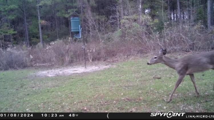 Hunting Property in Winn Parish LA For Sale