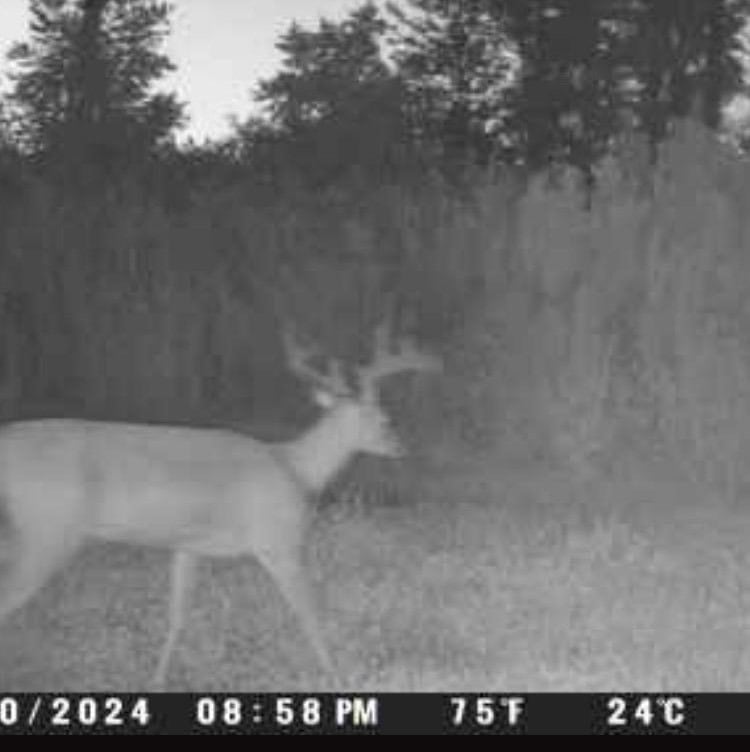 Hunting Property in Winn Parish LA For Sale