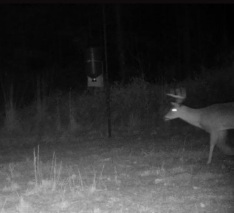 Hunting Property in Winn Parish LA For Sale