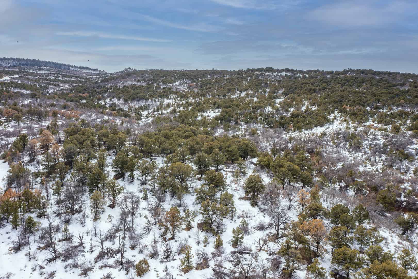 How can this be REMOTE and yet have easy year-round ACCESS?
