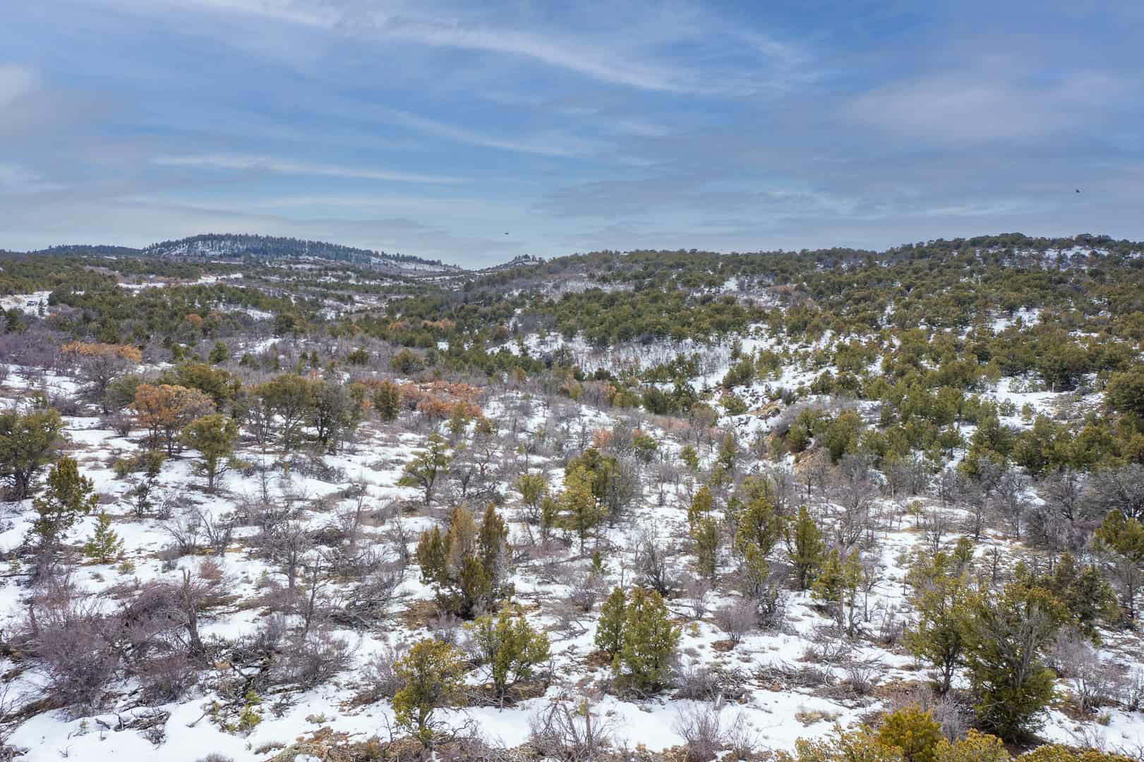 How can this be REMOTE and yet have easy year-round ACCESS?