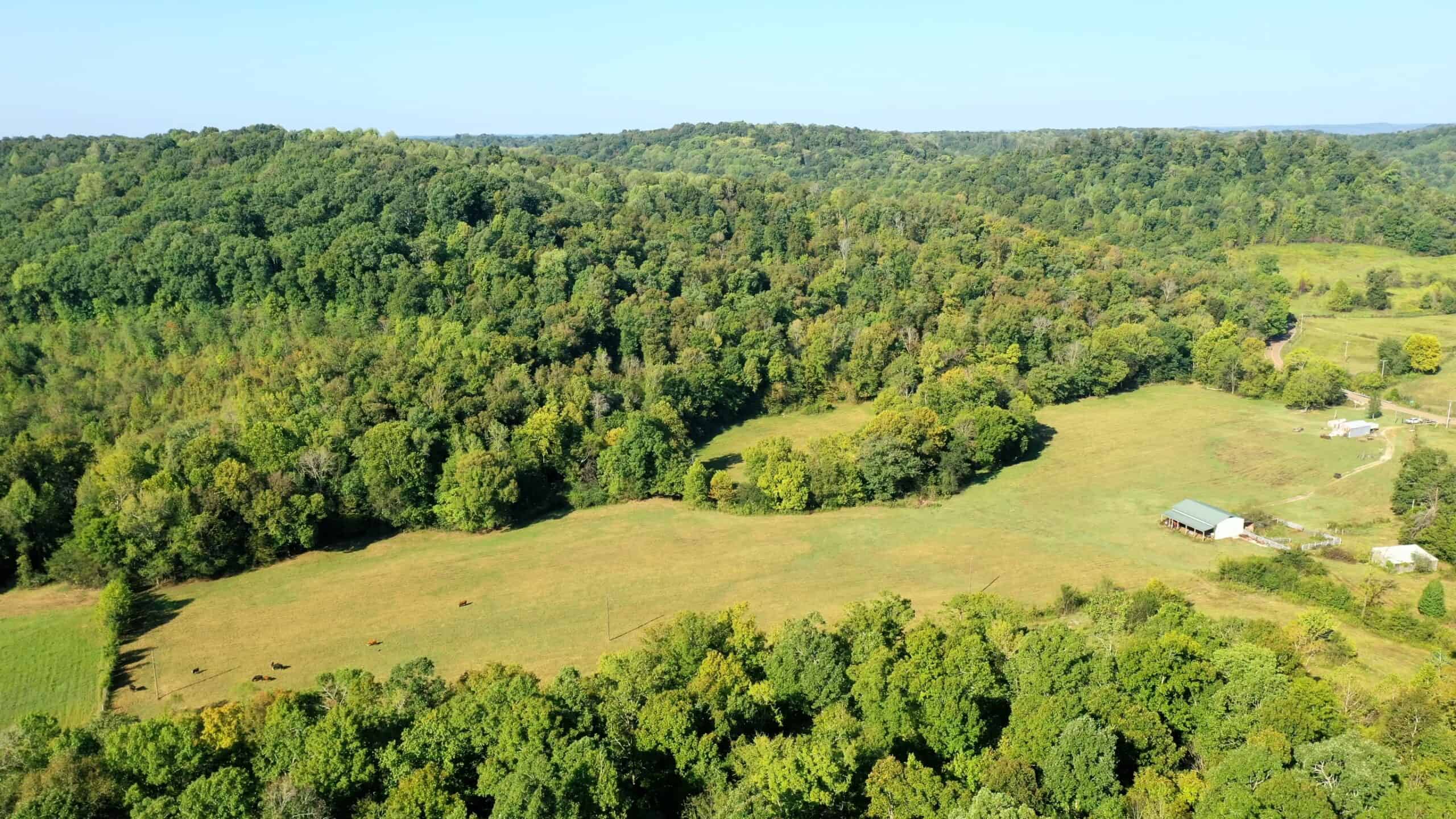Tennessee Farm for Sale with Barn, Shop, Fencing, Septic, Creek, and Hunting