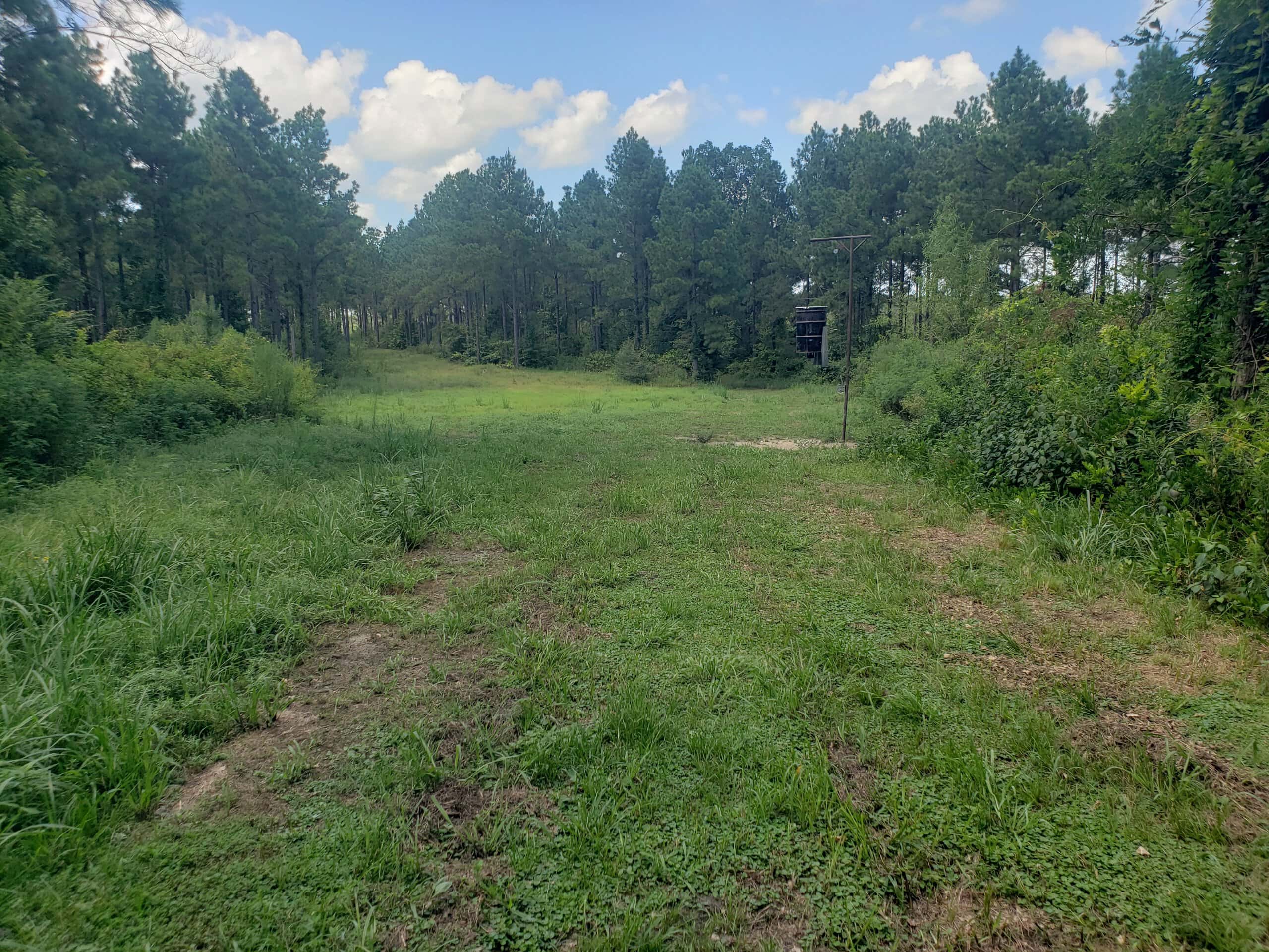 Hunting Property in Winn Parish LA For Sale